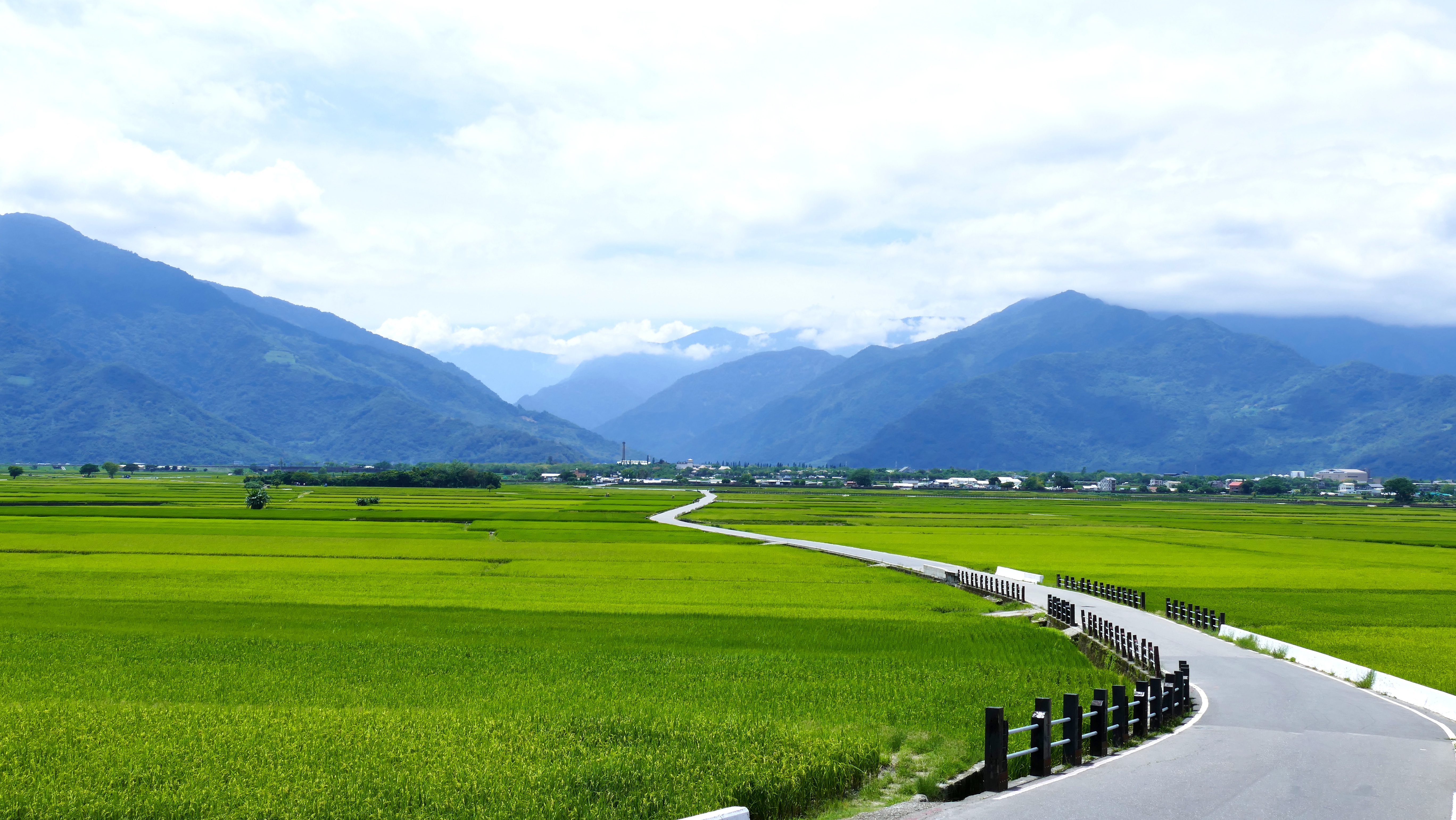 台東鄉村稻田